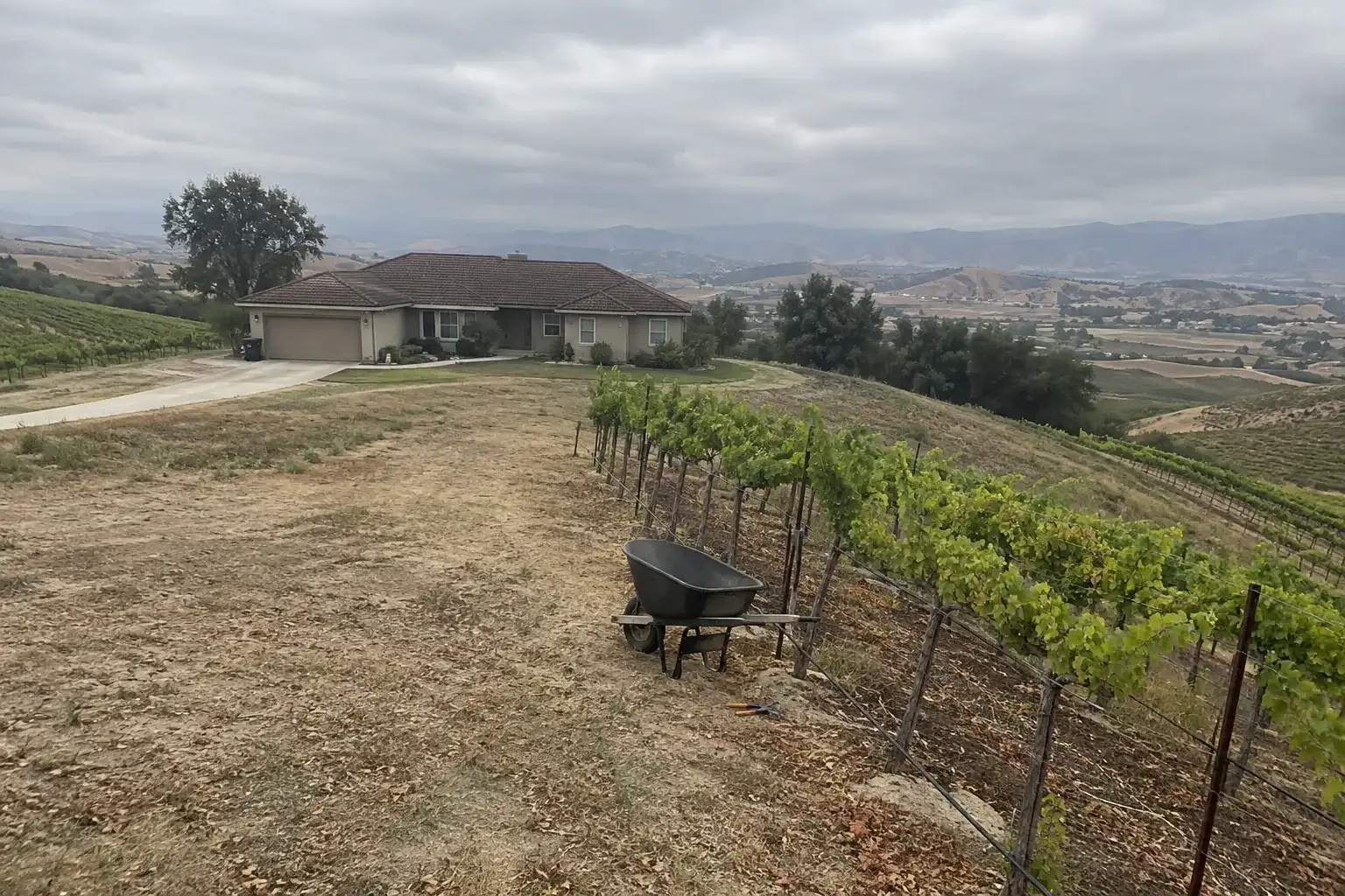 Rolling vineyard hills above a Southern California valley
